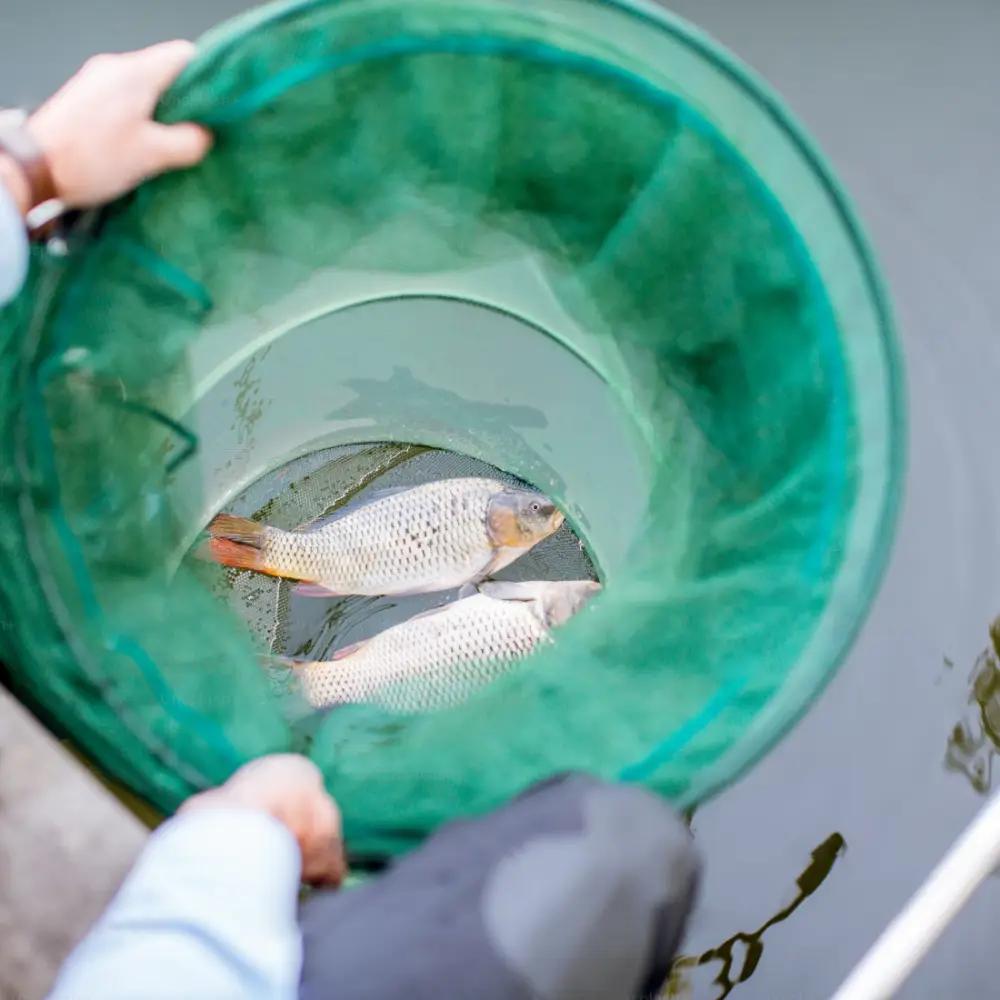 Saxmundham Angling and Engraving Centre